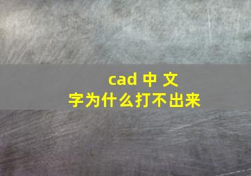 cad 中 文字为什么打不出来